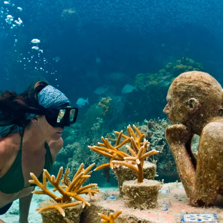 What to do in Quintana Roo?  Xcaret Park Official Website