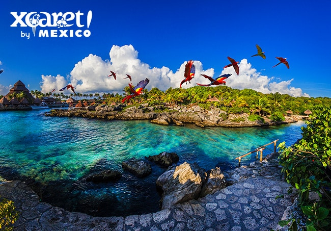 Xcaret | Parks and Tours in Cancún & Riviera Maya