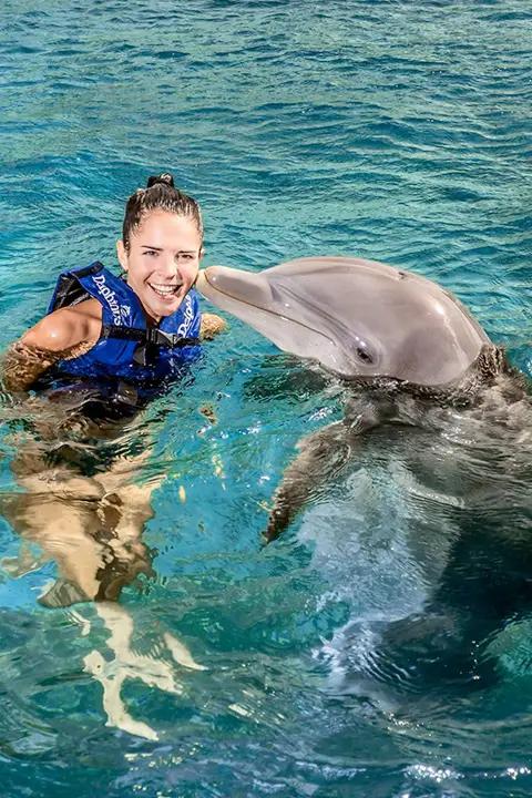 Swim with Dolphins in Cancun Primax | Xcaret Mexico